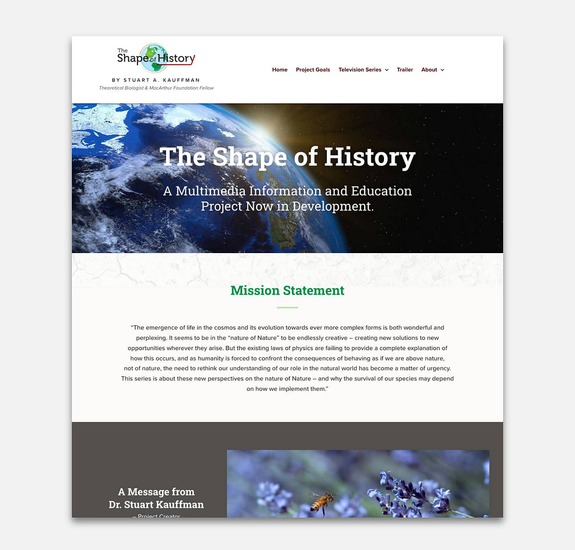 Shape of History homepage